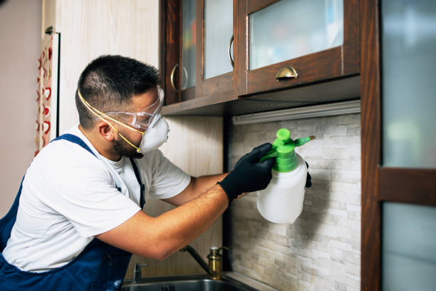Best Pest Control Near Me  in Clinton, MI