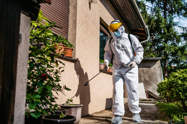 Best Affordable Pest Control Services  in Clinton, MI