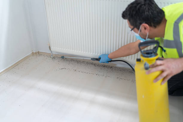 Best Local Pest Control Services  in Clinton, MI
