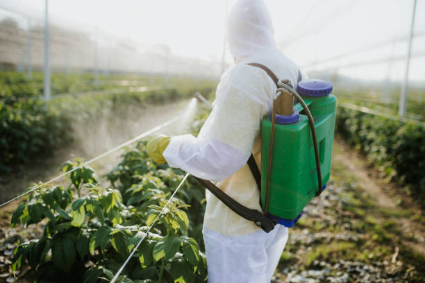 Best Pest Removal Services  in Clinton, MI